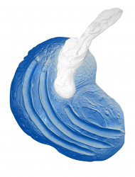 Untitled N-18 Polymer mixture with fiber-glass 110x84sm