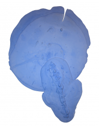 Untitled N-24 Polymer mixture with fiber-glass 123x84sm